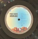 Animals - Foto 8 de 10