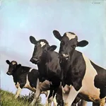 Atom Heart Mother - Foto 2 de 5