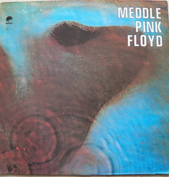 Meddle