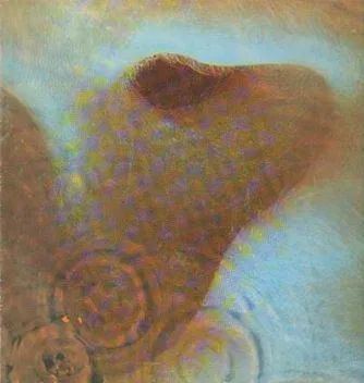 Meddle