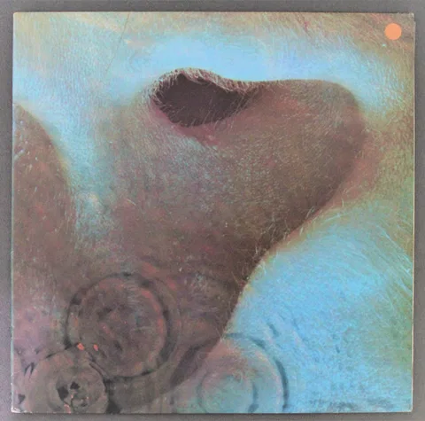 Meddle