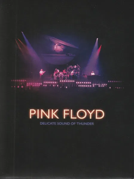 Delicate Sound Of Thunder - Foto 3 de 8
