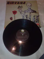Incesticide - Foto 6 de 6