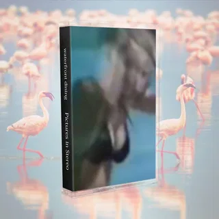 Pictures in Stereo