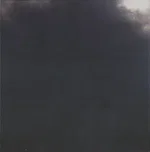 The Disintegration Loops - Foto 11 de 36