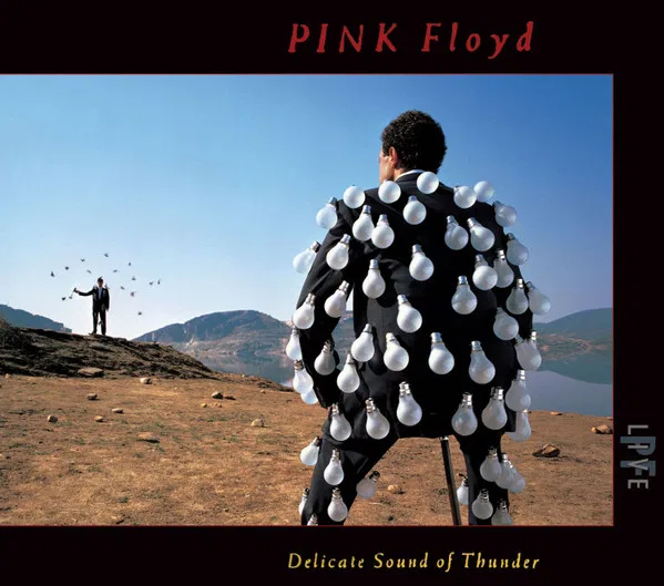 Delicate Sound Of Thunder