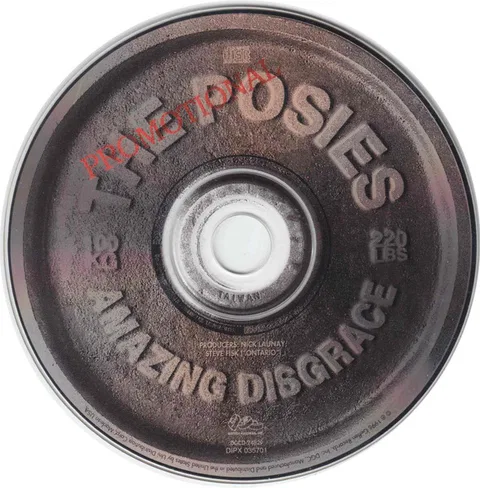 Amazing Disgrace - Foto 3 de 3