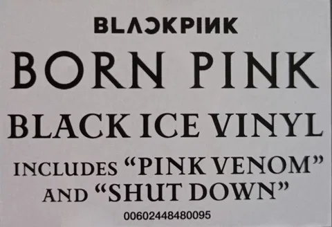 Born Pink - Foto 3 de 10