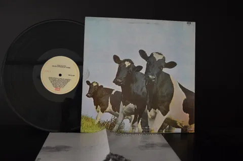 Atom Heart Mother - Foto 2 de 3