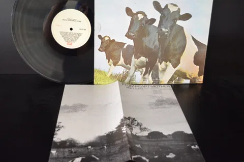 Atom Heart Mother - Foto 3 de 3