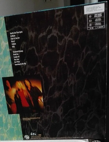 Nevermind - Foto 2 de 4