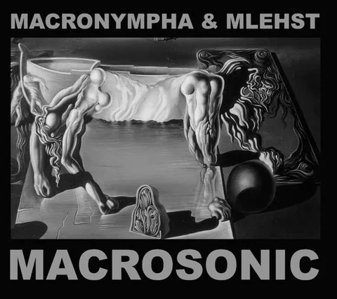 Macrosonic