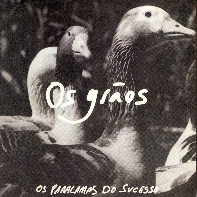 Os Grãos