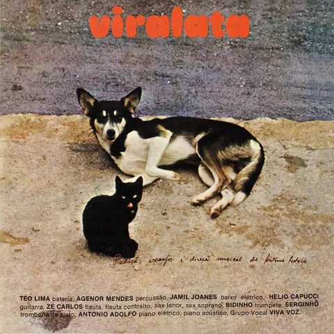 Viralata