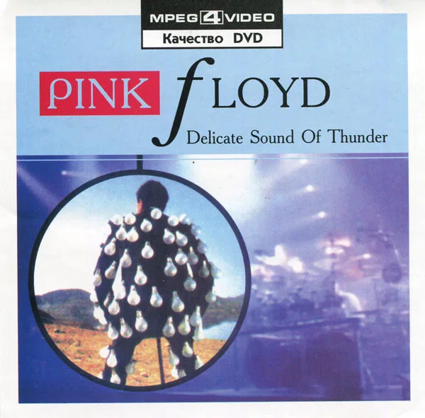 Delicate Sound Of Thunder