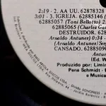 Cabeça Dinossauro - Foto 6 de 6