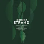 Iridescent Strand - Photo 1 of 6