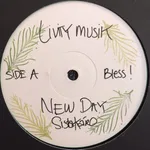 New Day / Jah Guidance (Melodica Version) - Foto 1 de 2