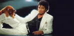 Thriller - Foto 15 de 16