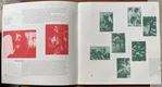 Clara Crocodilo - Foto 14 de 30
