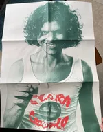 Clara Crocodilo - Foto 30 de 30