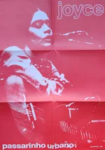 Passarinho Urbano - Foto 7 de 19