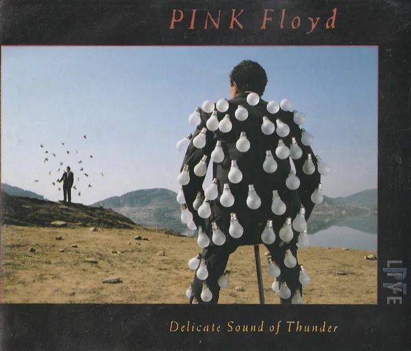 Delicate Sound Of Thunder
