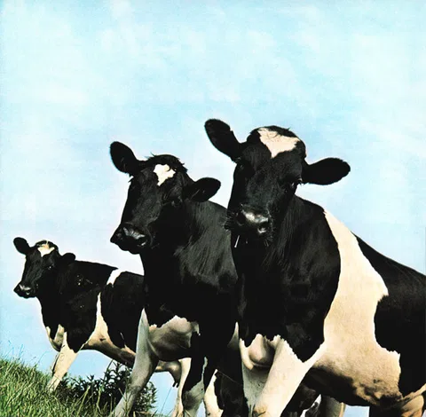 Atom Heart Mother - Foto 3 de 11