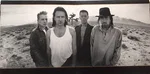 The Joshua Tree - Foto 2 de 13