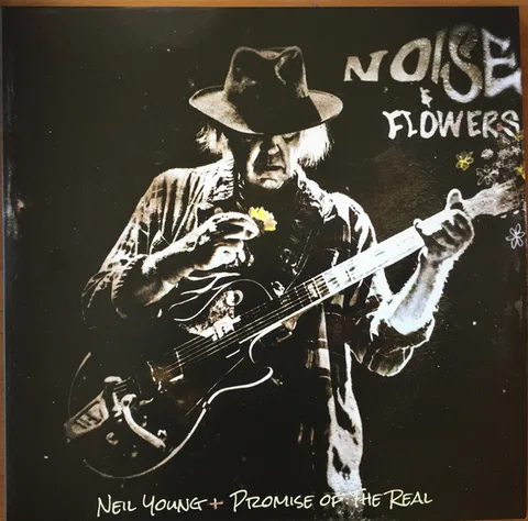 Noise & Flowers