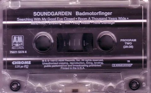 Badmotorfinger - Foto 3 de 3