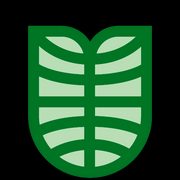 Taioba Discos logo