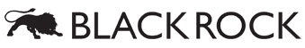Black Rock Store logo